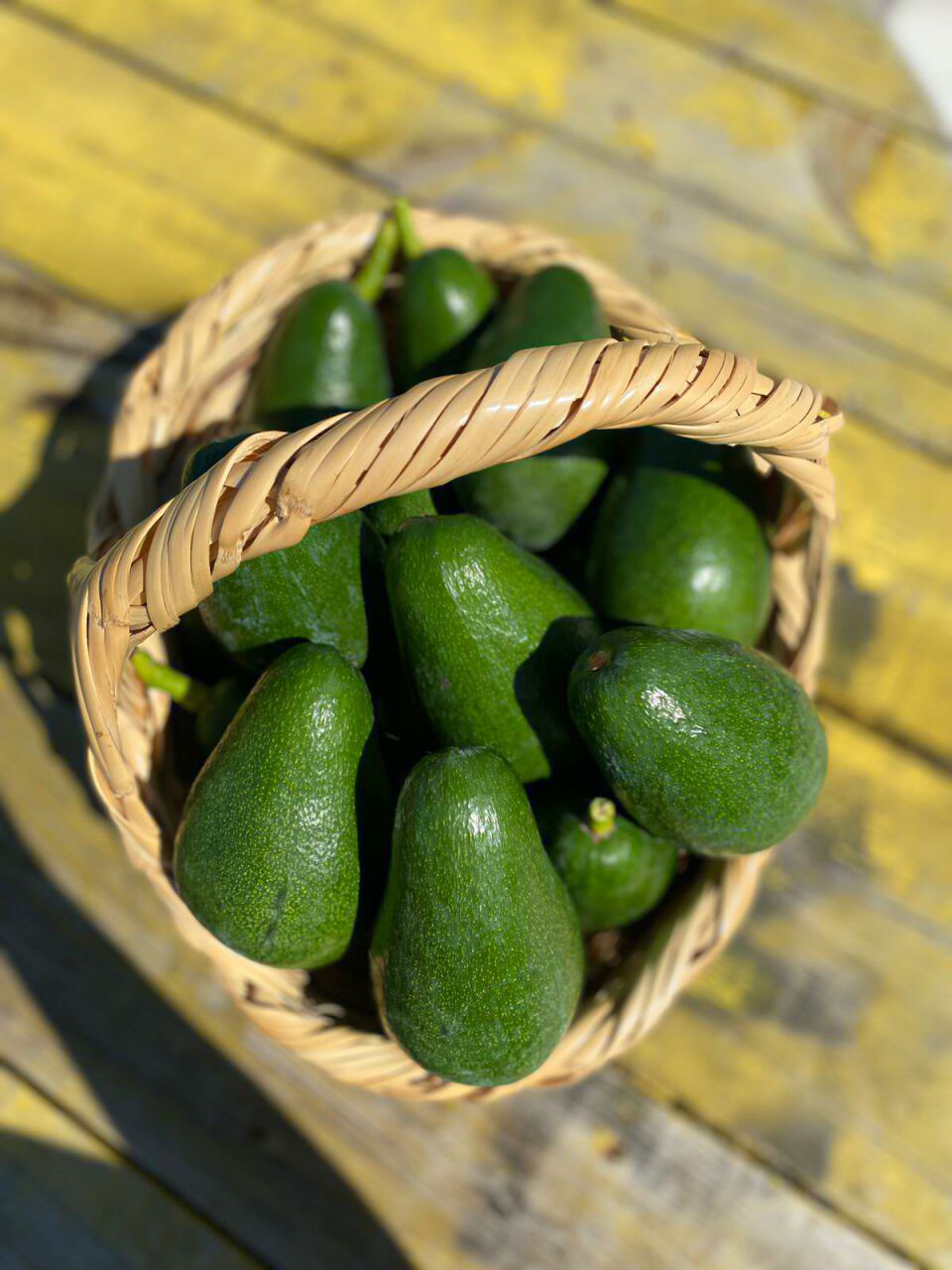 AVOKADODA HANGİ BESİN ÖGELERİ BULUNUR? 