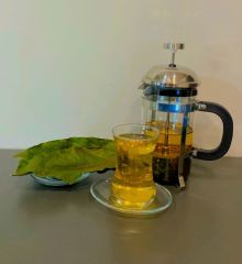 Avoçay Avotea