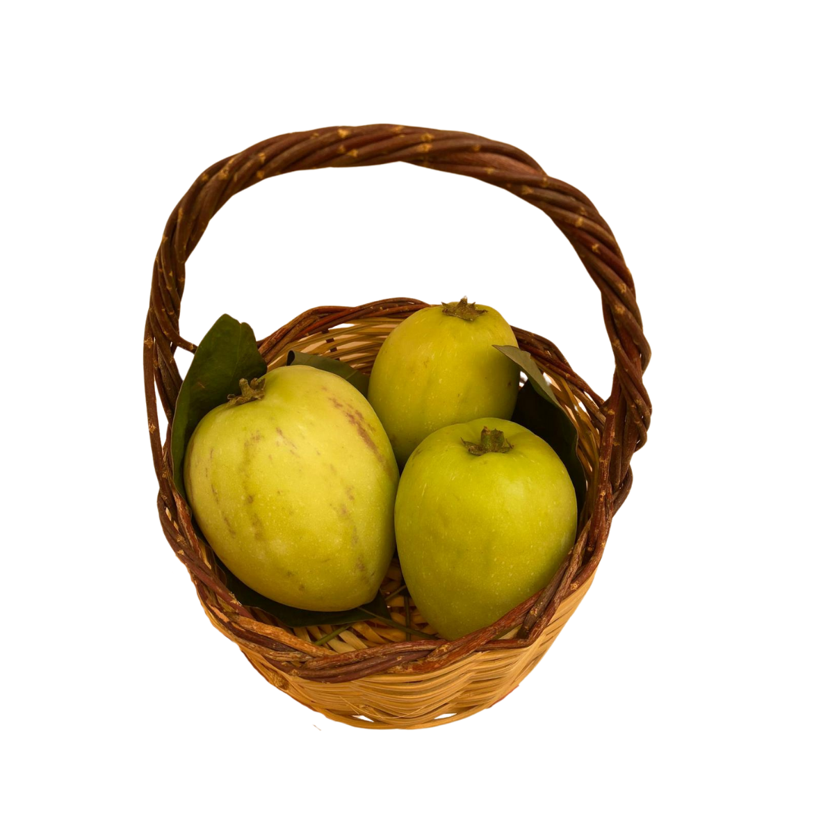 Pepino- 1 kg