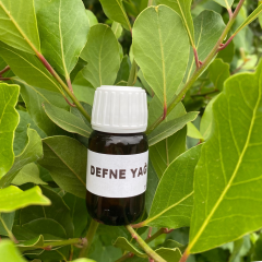 DEFNE YAĞI (20cc)