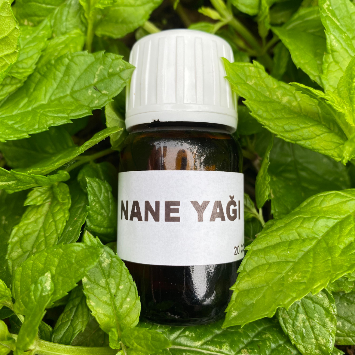 NANE YAĞI (20cc)