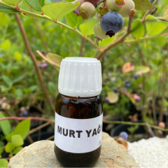 MURT YAĞI (20cc)