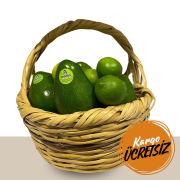 FIRSAT PAKETİ LİME LİMON (1 KG) + 15 ADET AVOKADO