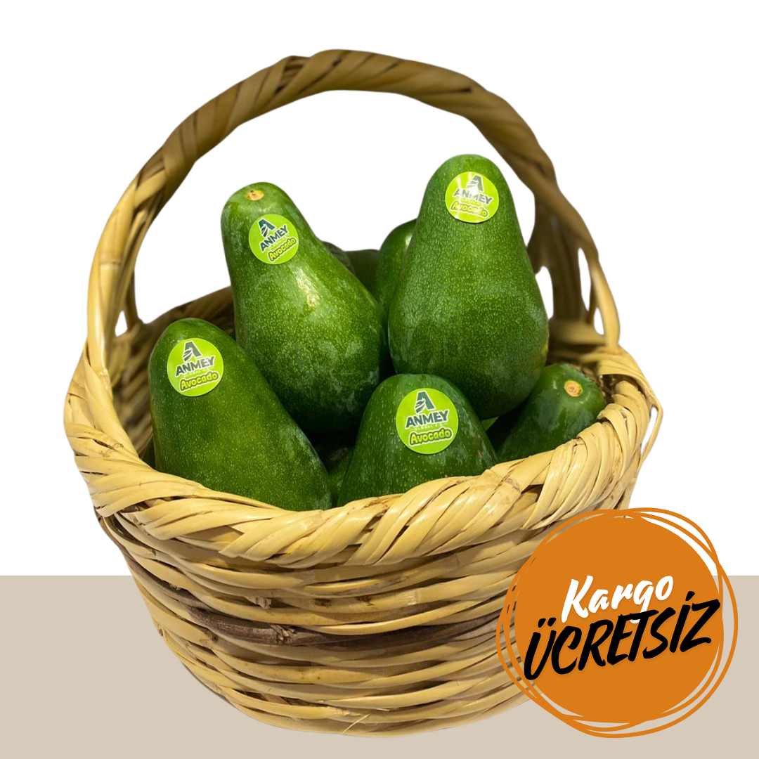 ALANYA AVOKADOSU 200 GR ÜZERİ 15 ADET