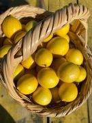TAZE HASAT LİMON 1 KG
