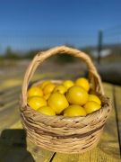TAZE HASAT LİMON 1 KG