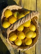 TAZE HASAT LİMON 1 KG