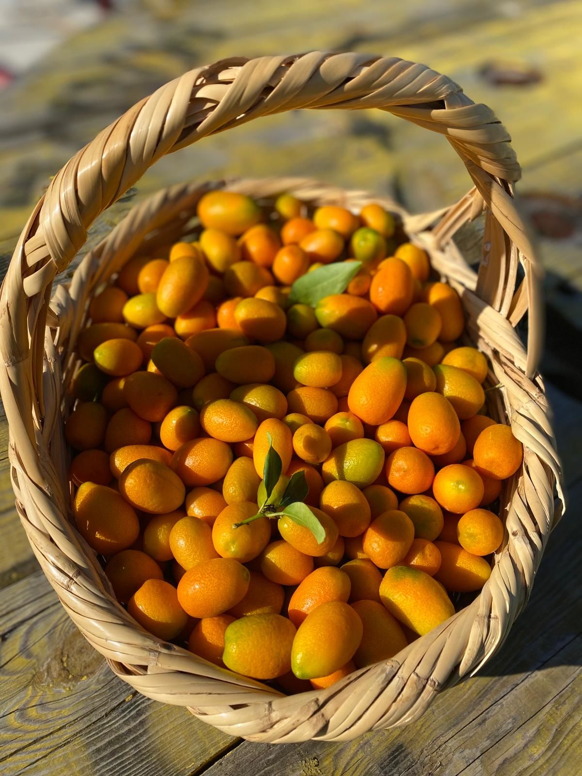 KUMKUAT- KUMKAT - KAMKAT 500 GR