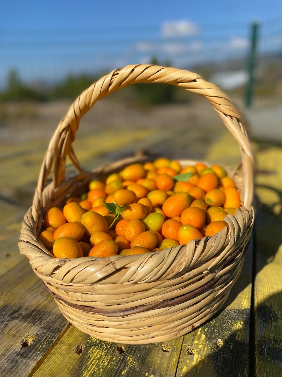 KUMKUAT- KUMKAT - KAMKAT 1 KG