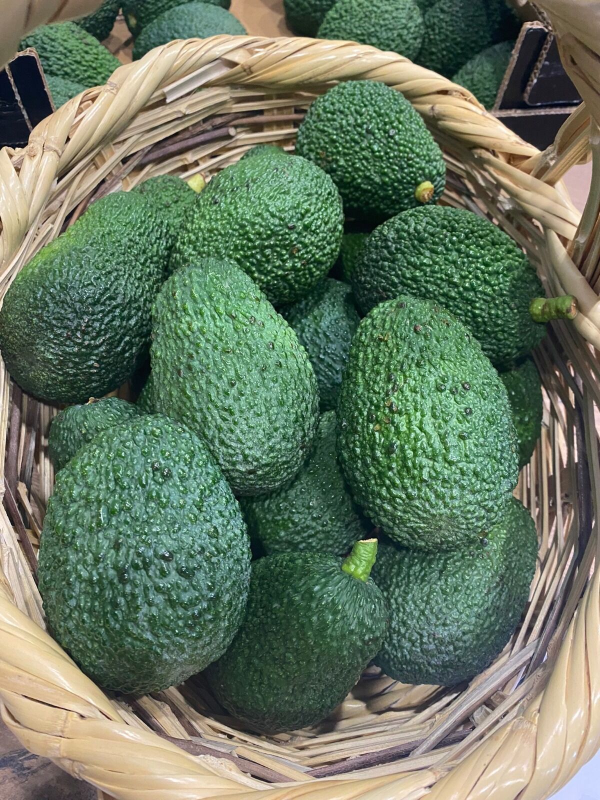 15 Adet Hass Avokado (160-200 gr Paket)