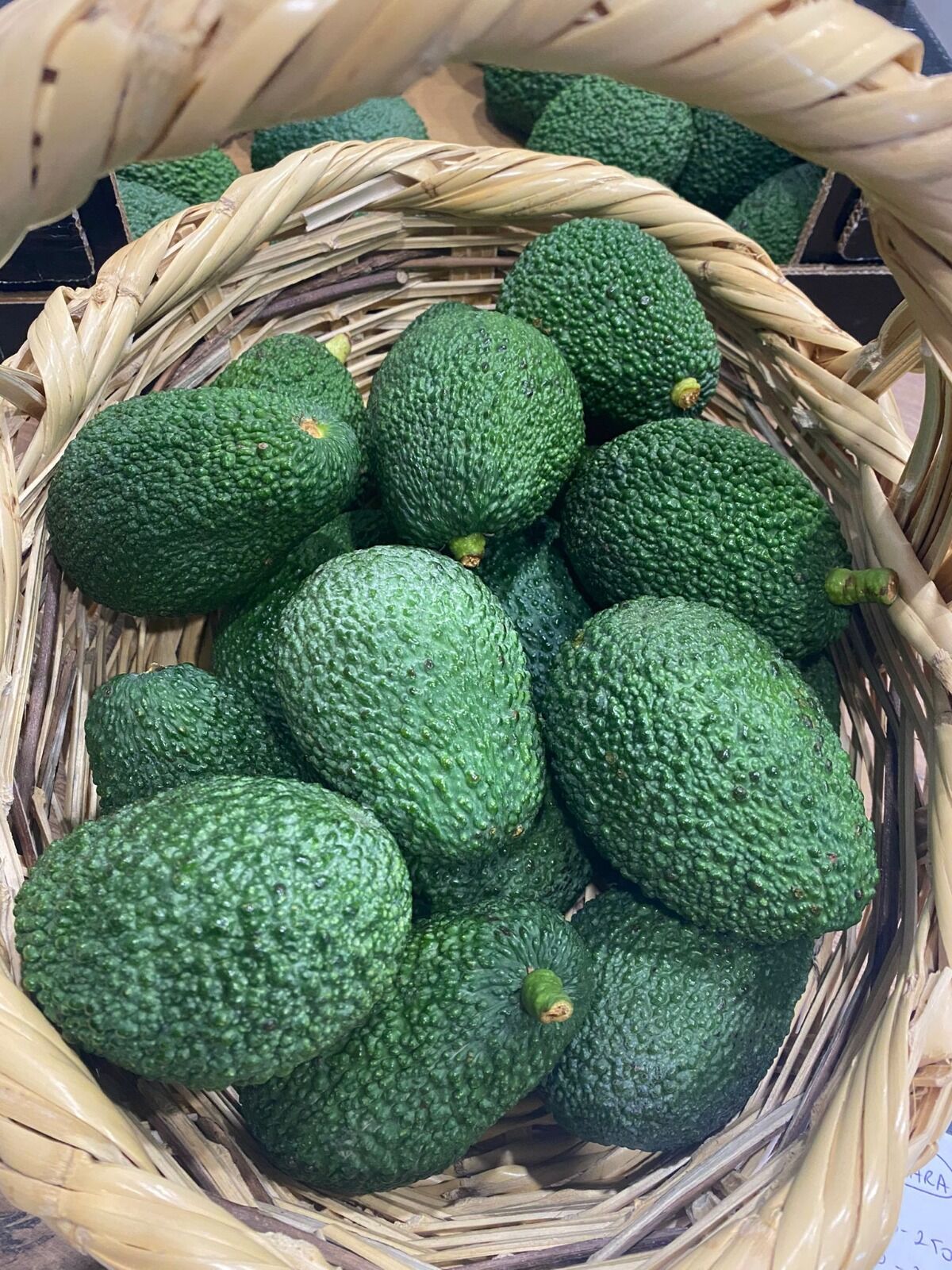 10 Adet Hass Avokado (160-200 gr Orta Boy)