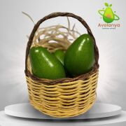 Clifton Avokado 200-250 Gram (Orta Boy) 10'lu Paket