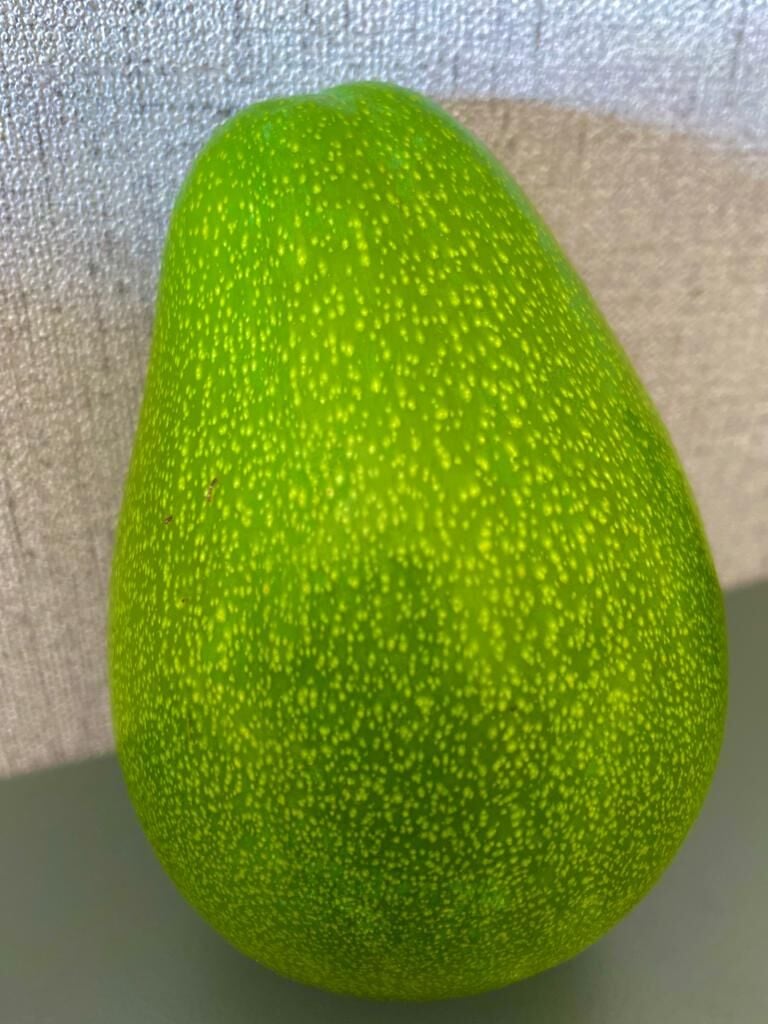 Clifton Avokado 200-250 Gram (Orta Boy) 25'li Paket