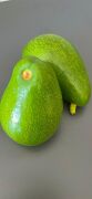 Clifton Avokado 250-300 Gram (Büyük Boy) 10'lu Paket