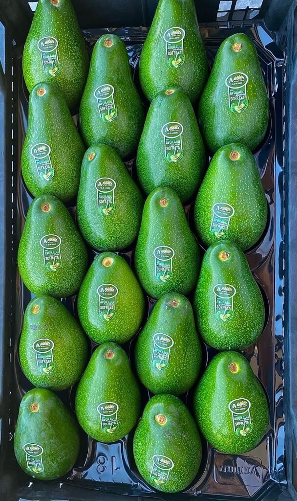 Clifton Avokado 250-300 Gram (Büyük Boy) 30'lu Paket