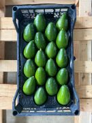 Bacon Avokado 200-250 Gram (Orta Boy) 10'lu Paket