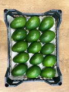 Bacon Avokado 200-250 Gram (Orta Boy) 15'li Paket