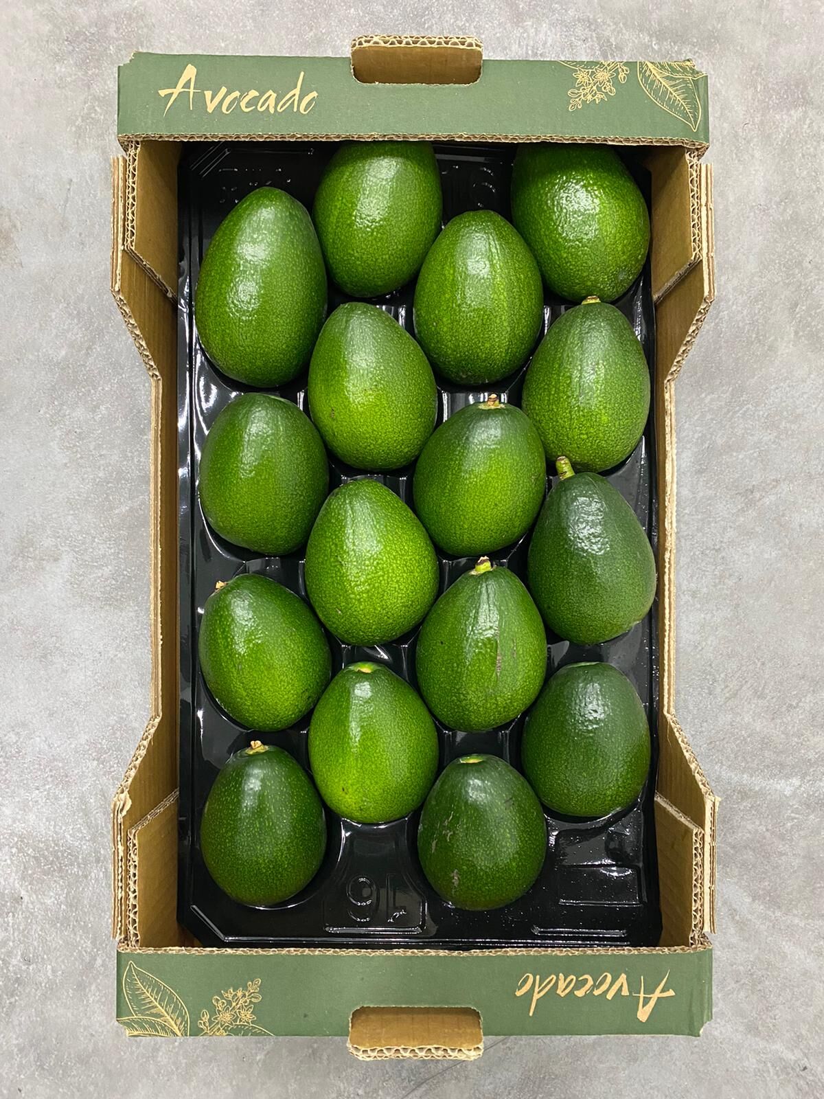 Bacon Avokado 250 Gram Üzeri (Büyük Boy) 15'li Paket