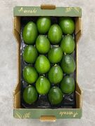 Bacon Avokado 250 Gram Üzeri (Büyük Boy) 15'li Paket