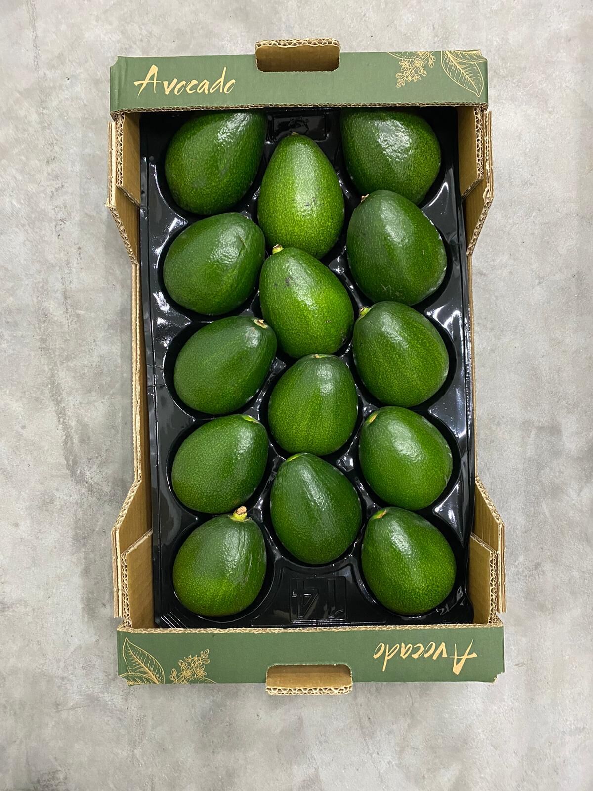Bacon Avokado 250 Gram Üzeri (Büyük Boy) 25'li Paket