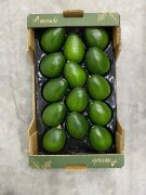 Bacon Avokado 250 Gram Üzeri (Büyük Boy) 25'li Paket